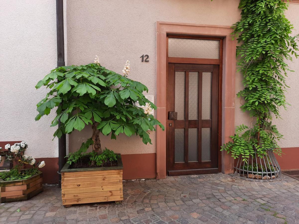 Alte Bahnhofstrasse 12 Apartment Karlstadt Luaran gambar